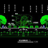 道路绿化平面图、横断面及立面图