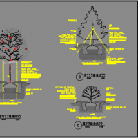 树木种植做法CAD详图