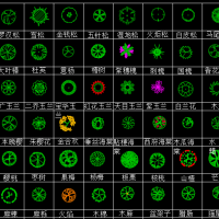景观设计常用植物平面CAD图例