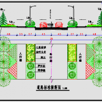 城市道路绿化设计施工图